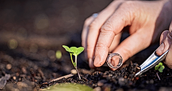 Sürdürülebilir Üretim ve Tüketim